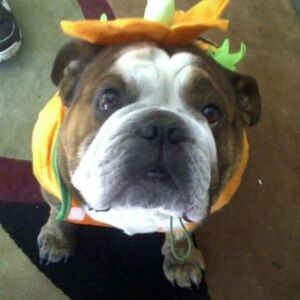 5$ FREE PEOPLE,ANTHRO,URBAN NORDSTROM,MACYS LIVE SHOW LISTING